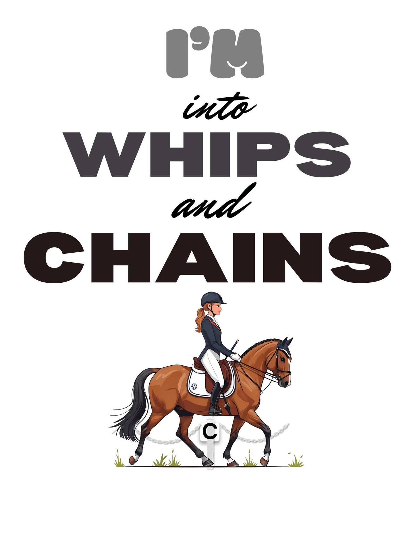Cartoon of a person riding a horse with text 'I'm into whips and chains' on a white background