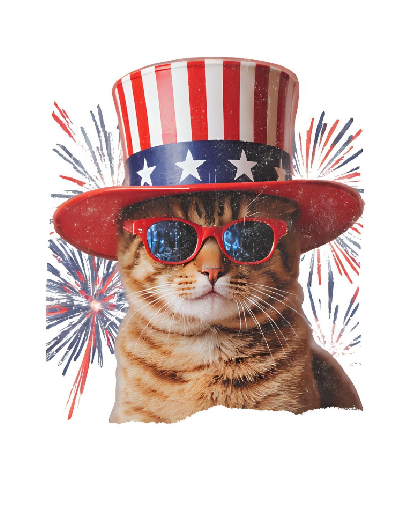 Cat wearing a patriotic hat and sunglasses with fireworks in the background