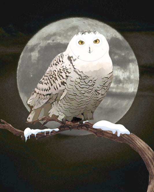 Snowy owl perched on a branch with a full moon in the background
